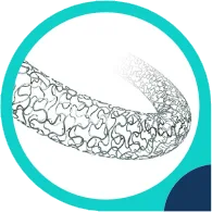 Stent Nano+